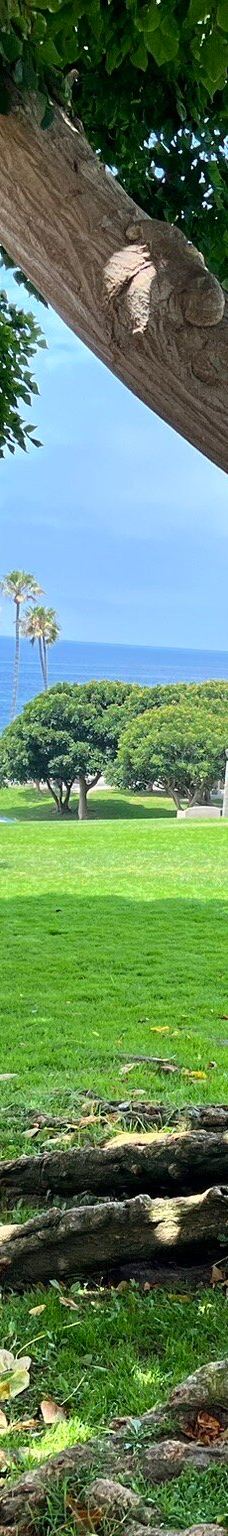 Salt Creek Beach-达纳点