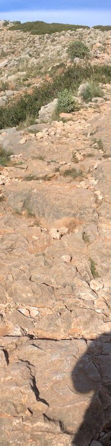 Castle of Montgrí-Baix Emporda