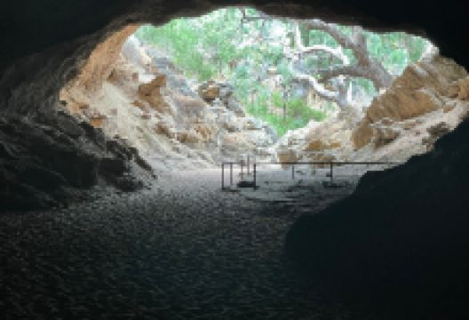 Drovers Cave National Park景点图片