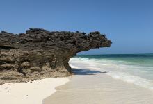 Spiaggia delle Tartarughe景点图片