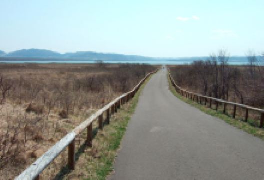 Lake Saroma Wakka Nature Centre景点图片