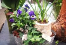 Langeskov Planteskole景点图片