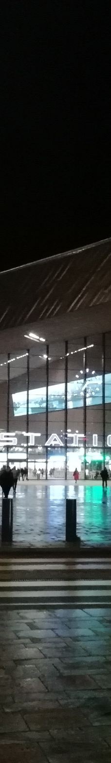 鹿特丹中央车站-鹿特丹