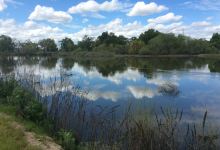 San Joaquin River National Wildlife Refuge景点图片