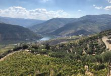Quinta do Jalloto景点图片