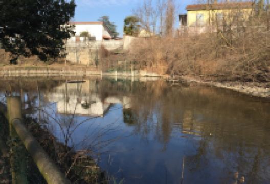 Parco Arcadia景点图片