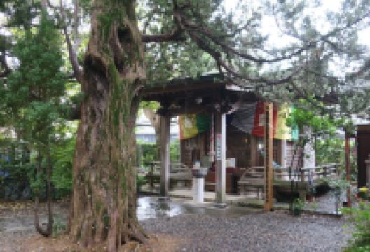 龙台院景点图片