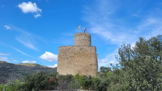 Castle of Mur