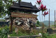 贡比绍村养蜂农场景点图片