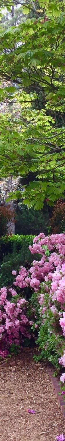 Lennox Gardens-亚拉伦拉