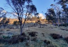 Davies Plain Hut景点图片