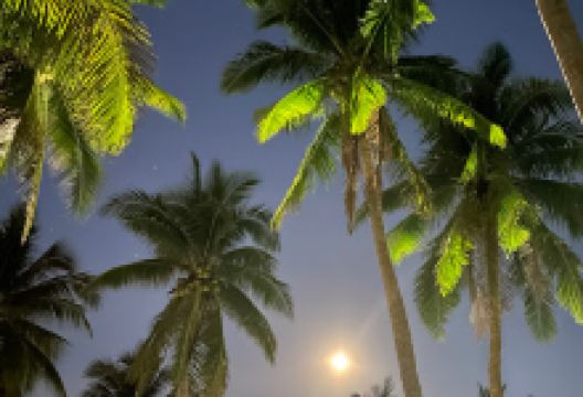 Kuya Alan's Campsite景点图片