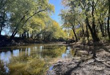 St Mary's Nature Preserve/River Greenway Trailhead景点图片