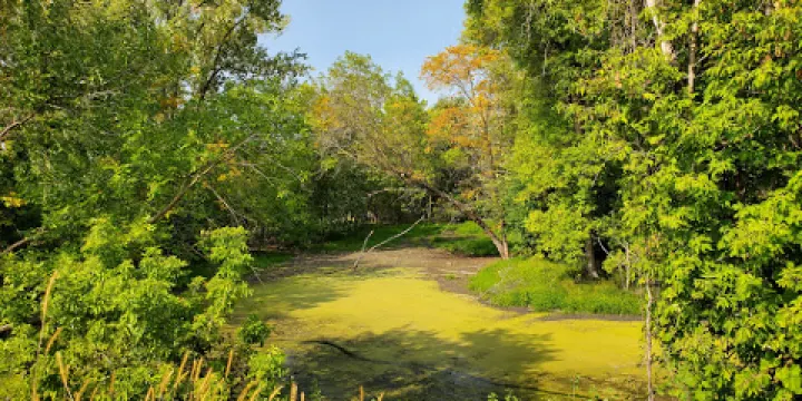 Rock Island Swing Bridge