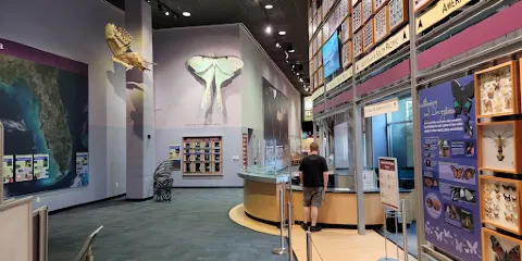 佛羅里達自然歷史博物館-展覽