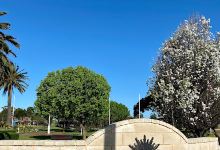 Anzac Park景点图片