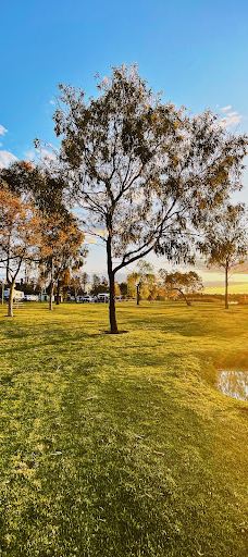 Lake Cullulleraine Holiday Park-米尔迪拉