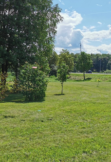 Balvu pilseta