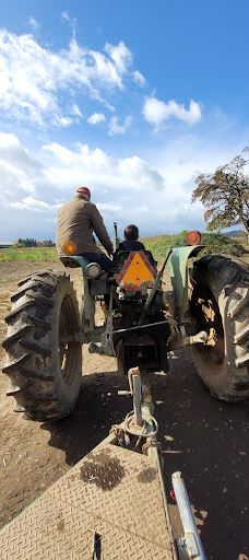 Davis Family Farm-本顿县