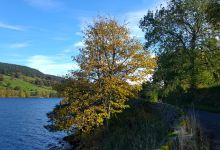 Gouthwaite Reservoir景点图片