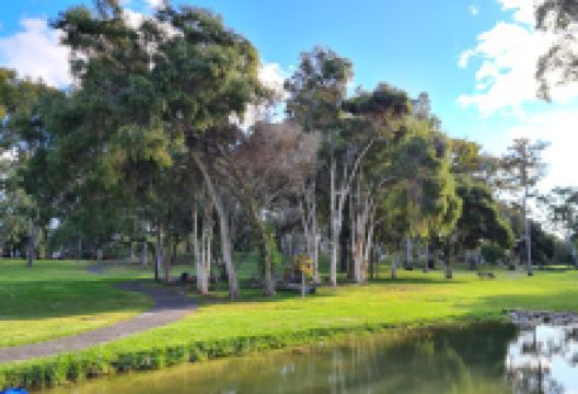 Pitman Park Rock Pool景点图片