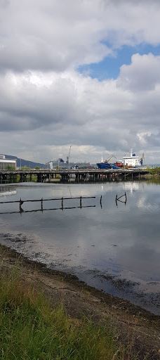 维多利亚公园-贝尔法斯特