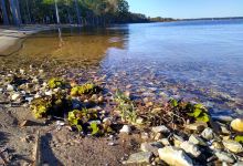 Lake Columbia RV Park景点图片