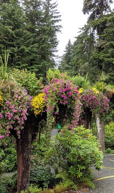 Glacier Gardens Rainforest Adventure-朱诺