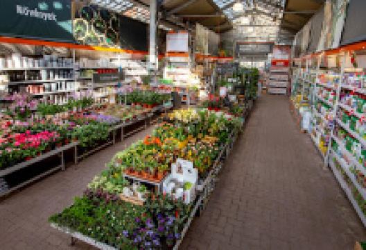 OBI Kertészet Budaörs购物图片