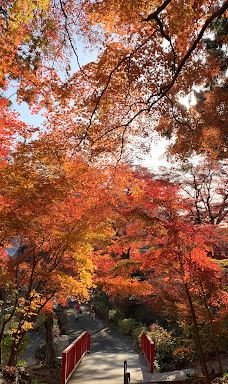 Fumon-ji Temple-丰桥市