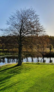 Den Selvejende Institution Sæbygård-赛比