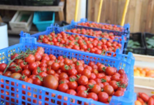 Les Jardins de Corinne景点图片