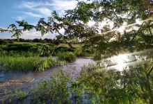 Barragem do Vaquejador/Pedreiras景点图片