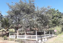 Sri Isipathanaramaya景点图片