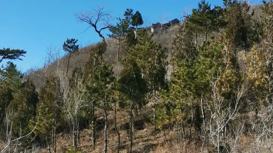 靈山寺