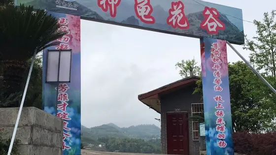 神龜花谷
