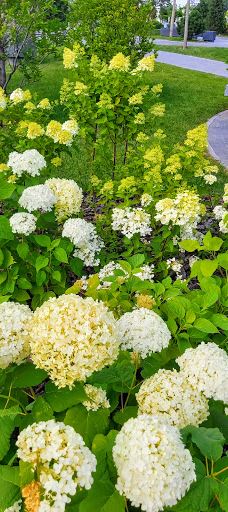 Pryberezhnyy square-Dnipropetrovs'ka city council