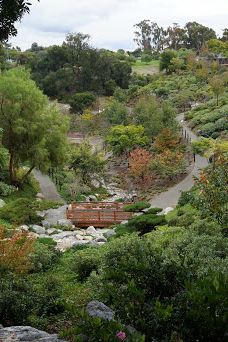 Japanese Friendship Garden & Museum-圣地亚哥