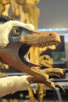 Musee des Dinosaures 'Dinosauria'-埃斯佩拉扎