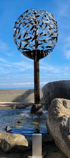 San Carlos Beach Park-蒙特雷