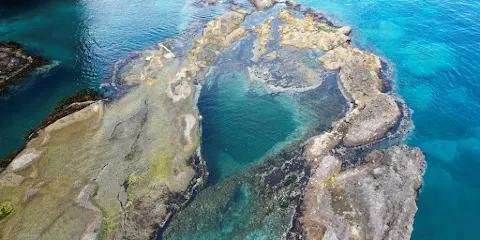 AT KAYAKS積丹美國営業所