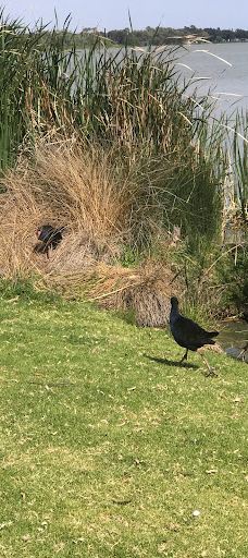 Lake Cullulleraine Holiday Park-米尔迪拉