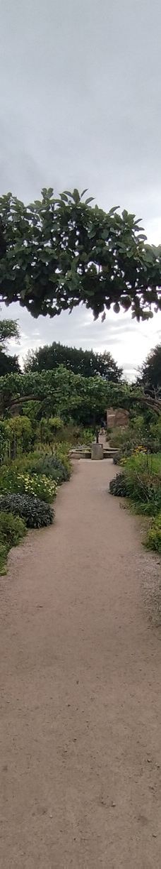 宁布鲁宫和花园-Beningbrough