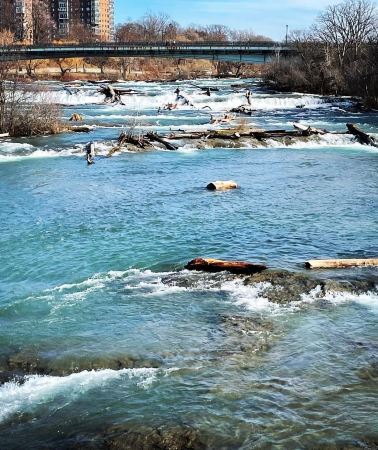 3D2N • Niagara Falls