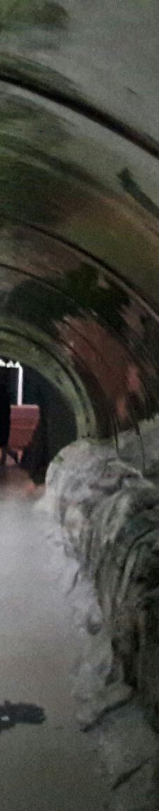 Deniz Dunyasi-安卡拉