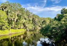 Turkey Creek Sanctuary景点图片