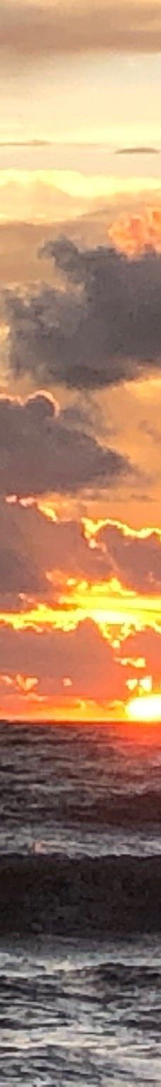 Bowman's Beach-萨尼贝尔