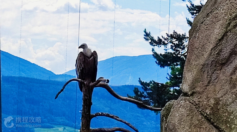 Alpenzoo Innsbruck - Tirol
