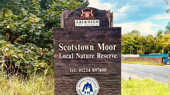 Scotstown Moor