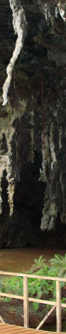 Grotte de Hortense-松树岛